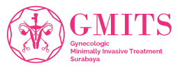 GMITS logo